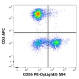 Flow Cytometry - Anti-CD56 Antibody [LT56] (PE-DyLight® 594) (A242900) - Antibodies.com