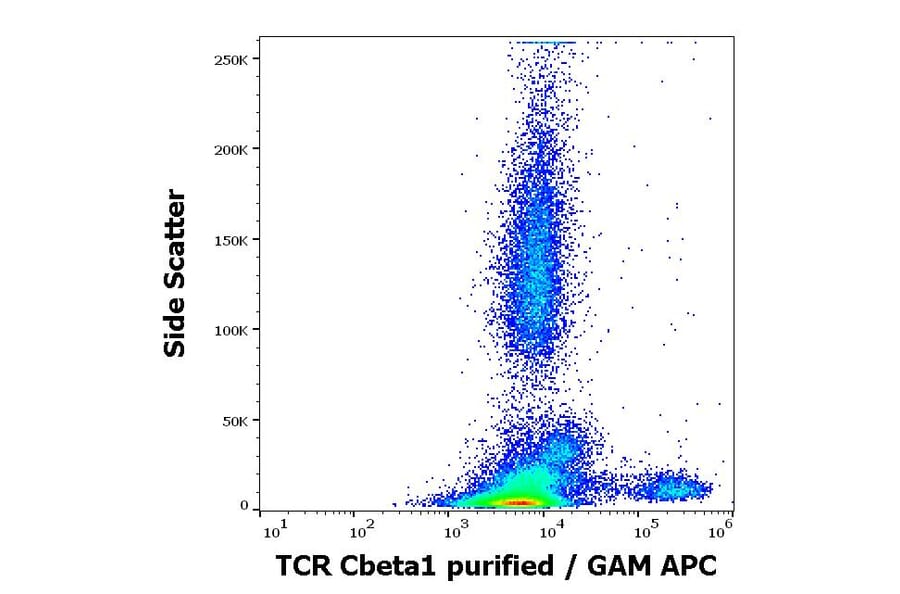 Flow Cytometry - Anti-TCR C beta 1 Antibody [JOVI.1] (A242903) - Antibodies.com