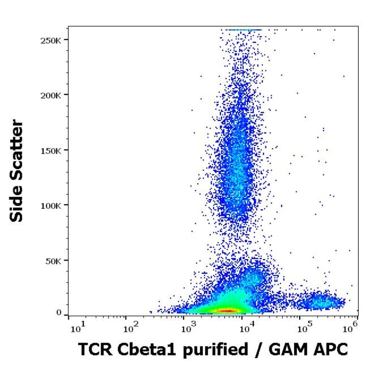 Flow Cytometry - Anti-TCR C beta 1 Antibody [JOVI.1] (A242903) - Antibodies.com