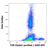 Flow Cytometry - Anti-TCR C beta 1 Antibody [JOVI.1] (A242903) - Antibodies.com