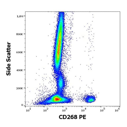Flow Cytometry - Anti-BAFF-R Antibody [11C1] (PE) (A242910)