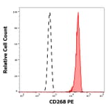 Flow Cytometry - Anti-BAFF-R Antibody [11C1] (PE) (A242910)