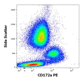 Flow Cytometry - Anti-SIRP alpha Antibody [15-414] (PE) (A242911)
