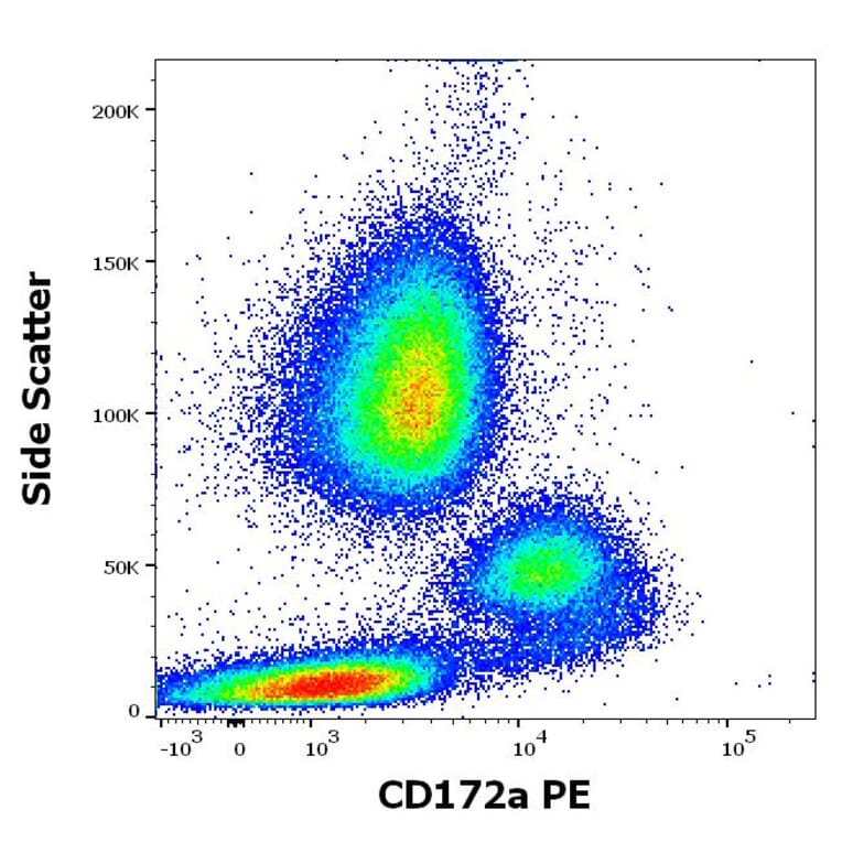 Flow Cytometry - Anti-SIRP alpha Antibody [15-414] (PE) (A242911)