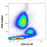 Flow Cytometry - Anti-SIRP alpha Antibody [15-414] (PE) (A242911)