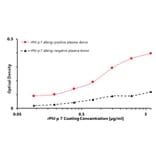 ELISA - Recombinant Phl p 7 (7.0101) Protein (A242916) - Antibodies.com