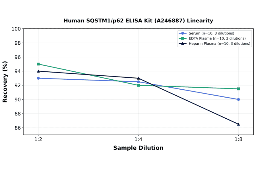 Linearity - Human SQSTM1/p62 ELISA Kit (A246887) - Antibodies.com