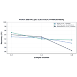 Linearity - Human SQSTM1/p62 ELISA Kit (A246887) - Antibodies.com