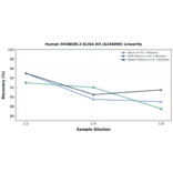 Linearity - Human SH3BGRL3 ELISA Kit (A246896) - Antibodies.com