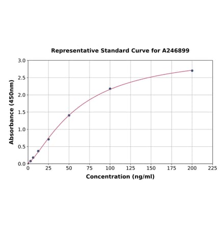 Standard Curve - Human TEX101 ELISA Kit (A246899) - Antibodies.com