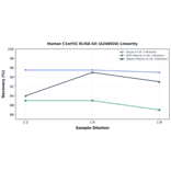 Linearity - Human C1orf31 ELISA Kit (A246926) - Antibodies.com