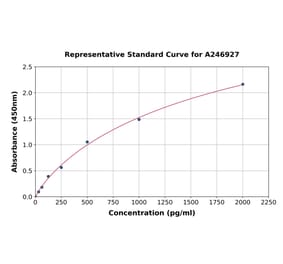 Standard Curve - Human Caspase-12 ELISA Kit (A246927) - Antibodies.com