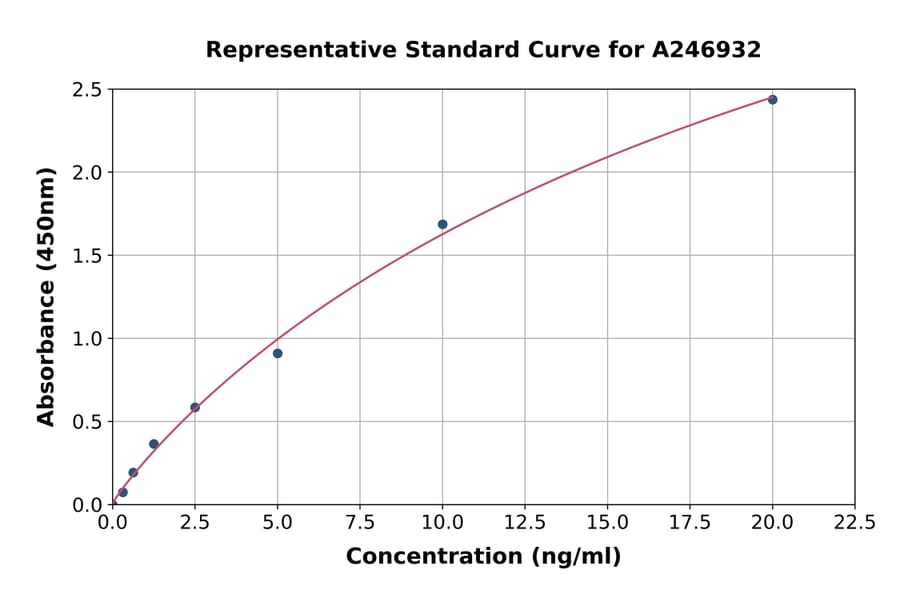 Standard Curve - Human DNAJB8 ELISA Kit (A246932) - Antibodies.com