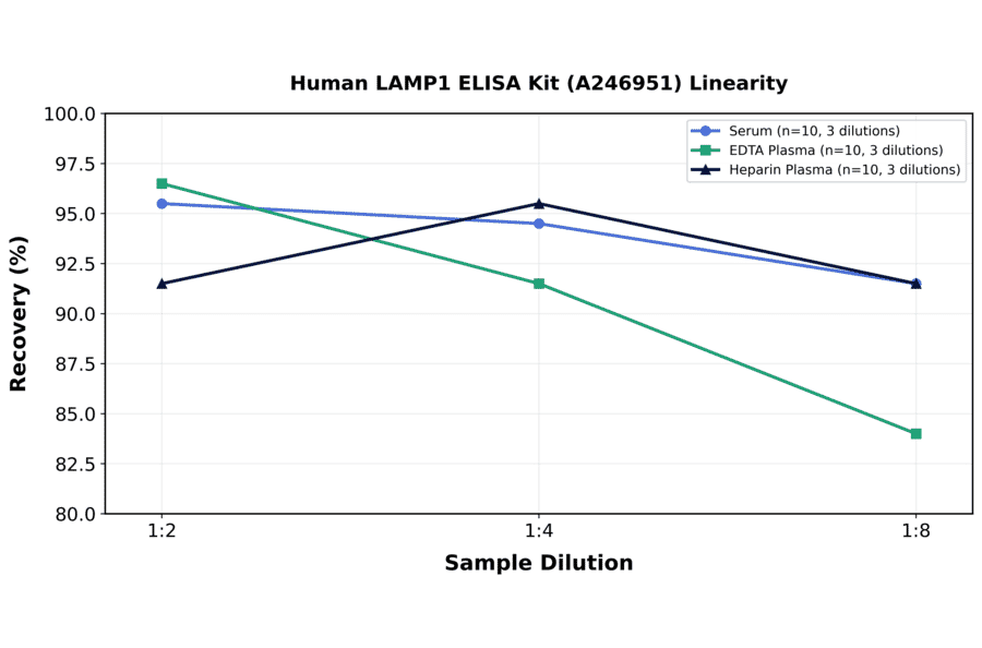 Linearity - Human LAMP1 ELISA Kit (A246951) - Antibodies.com