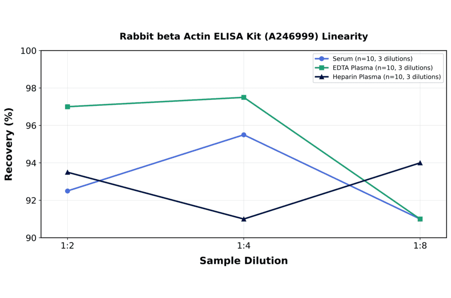 Linearity - Rabbit beta Actin ELISA Kit (A246999) - Antibodies.com