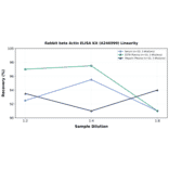 Linearity - Rabbit beta Actin ELISA Kit (A246999) - Antibodies.com