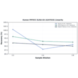 Linearity - Human PPP3CC ELISA Kit (A247019) - Antibodies.com