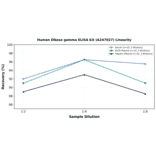 Linearity - Human DNase gamma ELISA Kit (A247027) - Antibodies.com