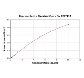 Standard Curve - Human Stomatin ELISA Kit (A247117) - Antibodies.com