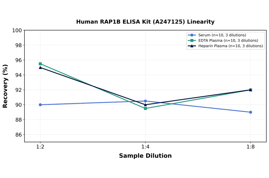 Linearity - Human RAP1B ELISA Kit (A247125) - Antibodies.com