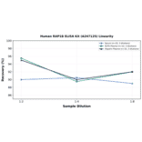 Linearity - Human RAP1B ELISA Kit (A247125) - Antibodies.com