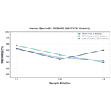 Linearity - Human Ephrin B1 ELISA Kit (A247155) - Antibodies.com