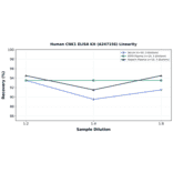 Linearity - Human CNK1 ELISA Kit (A247156) - Antibodies.com