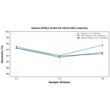 Linearity - Human BTNL2 ELISA Kit (A247169) - Antibodies.com