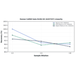 Linearity - Human CaMKII beta ELISA Kit (A247337) - Antibodies.com