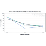 Linearity - Human Ankyrin Erythroid/ANK ELISA Kit (A247340) - Antibodies.com