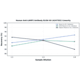 Linearity - Human Anti-LAMP2 Antibody ELISA Kit (A247352) - Antibodies.com