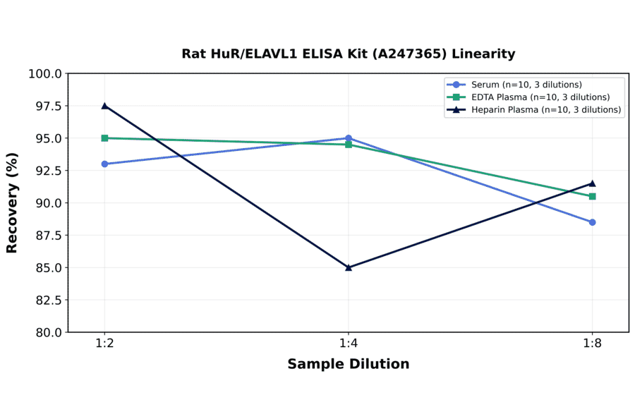 Linearity - Rat HuR/ELAVL1 ELISA Kit (A247365) - Antibodies.com