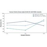 Linearity - Human Choline Kinase alpha ELISA Kit (A247398) - Antibodies.com
