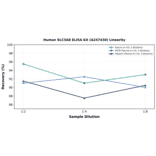 Linearity - Human SLC5A8 ELISA Kit (A247430) - Antibodies.com