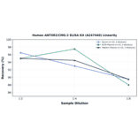 Linearity - Human ANTXR2/CMG-2 ELISA Kit (A247440) - Antibodies.com
