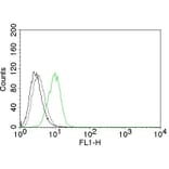 Flow Cytometry - Anti-p27 KIP 1 Antibody [SX53G8] (A248093) - Antibodies.com