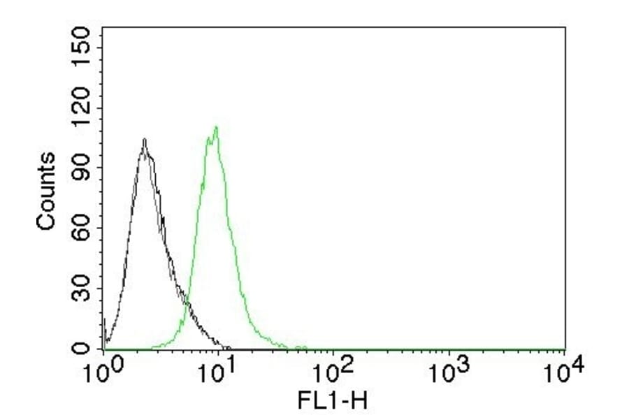 Flow Cytometry - Anti-p27 KIP 1 Antibody [KIP1/769] (A248095) - Antibodies.com