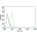 Flow Cytometry - Anti-p27 KIP 1 Antibody [KIP1/769] (A248095) - Antibodies.com