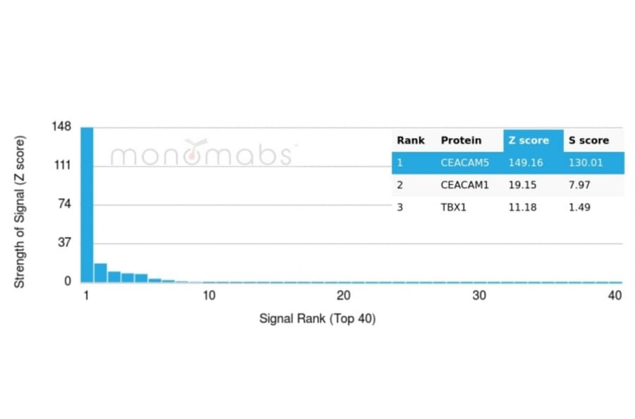 Protein Array - Anti-Carcinoembryonic Antigen Antibody [C66/4098] (A248124) - Antibodies.com