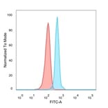 Flow Cytometry - Anti-NACC1 Antibody [PCRP-NACC1-1A8] (A248213) - Antibodies.com