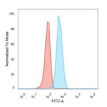 Flow Cytometry - Anti-CD195 Antibody [12D1] (A248229) - Antibodies.com