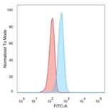 Flow Cytometry - Anti-CD195 Antibody [12D1] (A248230) - Antibodies.com