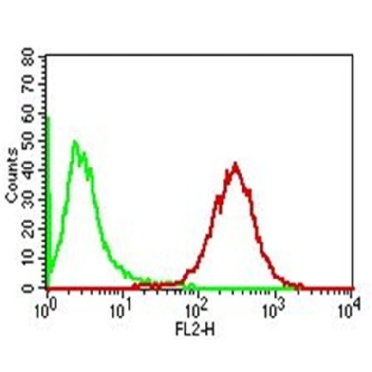 Flow Cytometry - Anti-Adipophilin Antibody [ADFP/1365] (A248231) - Antibodies.com