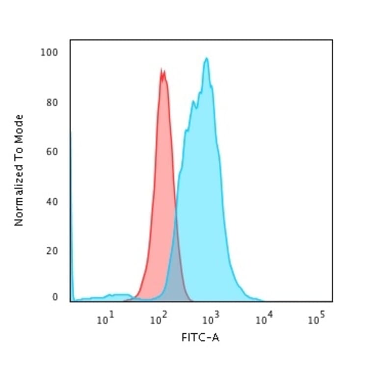Flow Cytometry - Anti-Calponin 1 Antibody [rCNN1/832] (A248240) - Antibodies.com