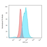 Flow Cytometry - Anti-Calponin 1 Antibody [rCNN1/832] (A248240) - Antibodies.com