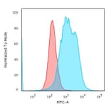 Flow Cytometry - Anti-Calponin 1 Antibody [CNN1/1408R] (A248241) - Antibodies.com