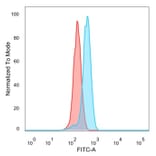 Flow Cytometry - Anti-CTBP2 Antibody [PCRP-CTBP2-2D11] (A248286) - Antibodies.com