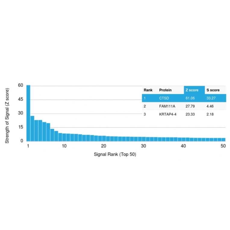 Protein Array - Anti-Cathepsin D Antibody [CTSD/3082] (A248304) - Antibodies.com