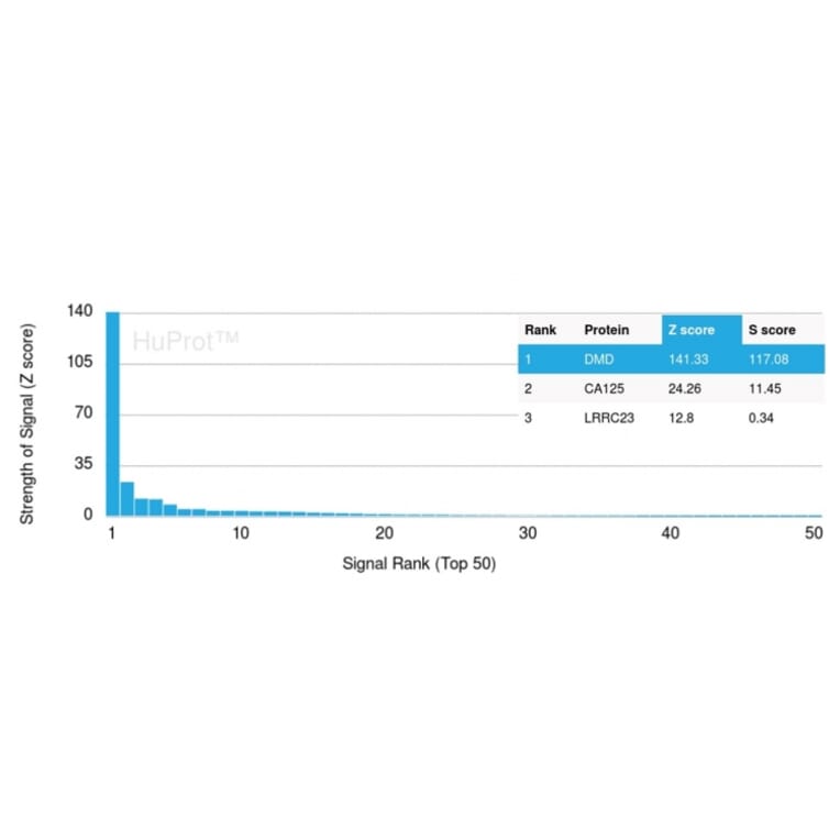 Protein Array - Anti-Dystrophin Antibody [DMD/3243] (A248341) - Antibodies.com