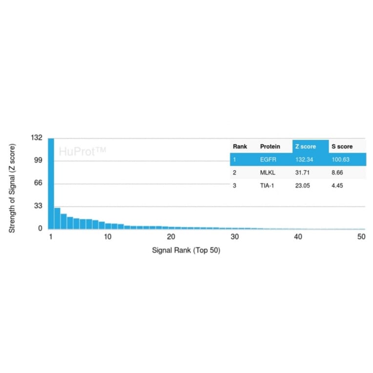 Protein Array - Anti-EGFR Antibody [GFR/2968R] (A248409) - Antibodies.com